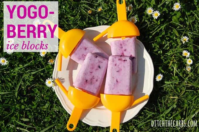 Yoghurt Berry sugarfree popsicles sitting in the garden