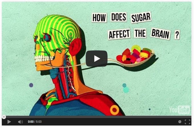 How Does Sugar Affect The Brain, watch and learn. It may stop your addiction. | ditchthecarbs.com