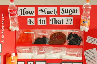 A Sugar Science Fair Project presented on a red board with bags of sugar
