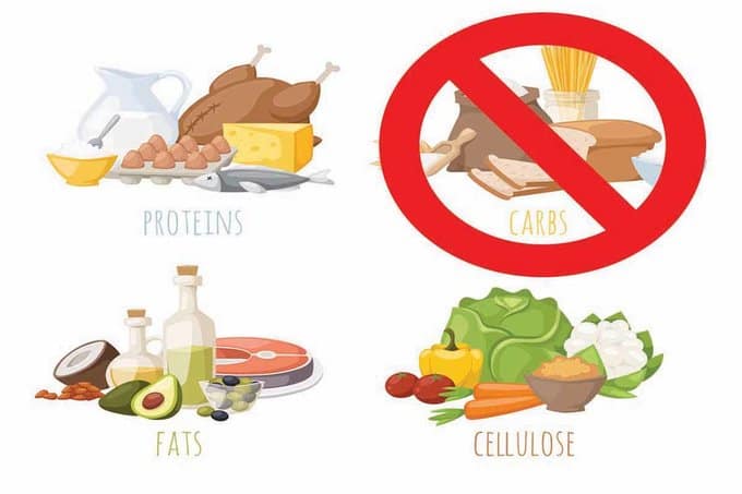 The advantages of a low-carb diet showing protein, fat, carbs and fibre. 