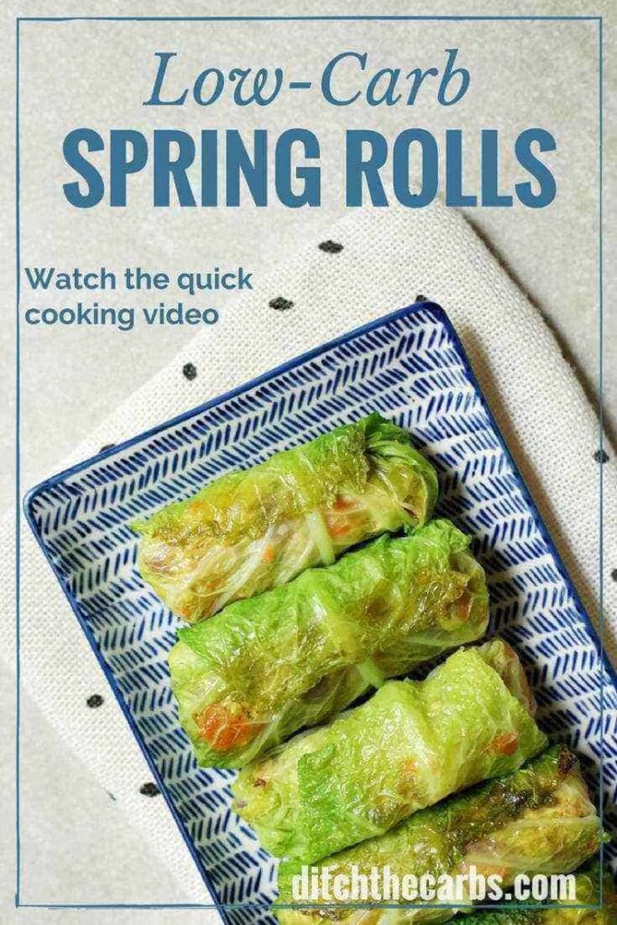 Cabbage leaf spring Rolls served on a blue and white plate