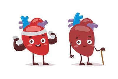 two heart muscle cartoon characters 