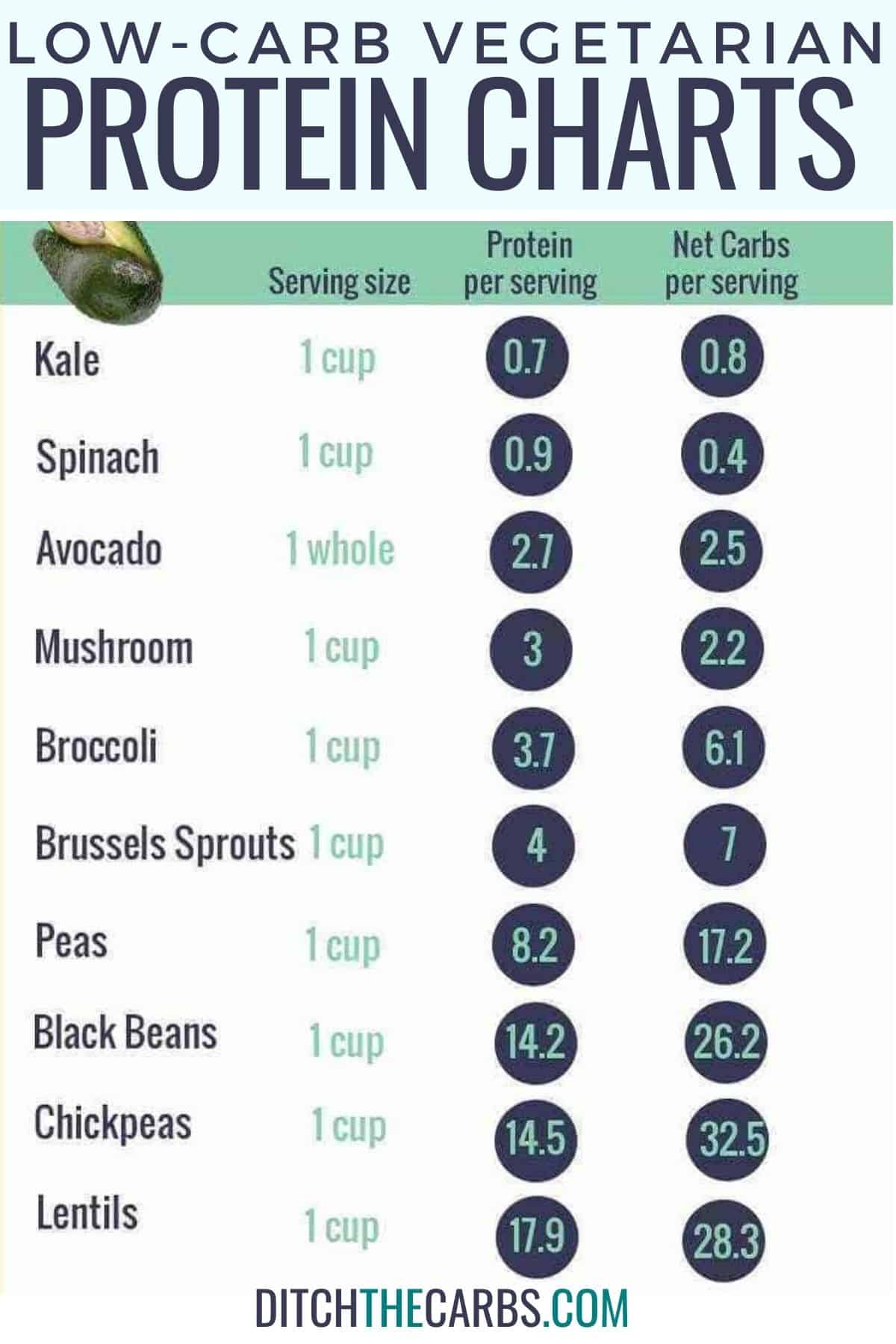 carb charts and protein charts for vegetarian foods
