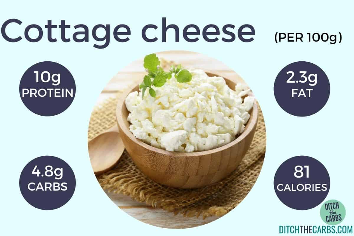 carbs and protein in vegetarian food showing cottage cheese