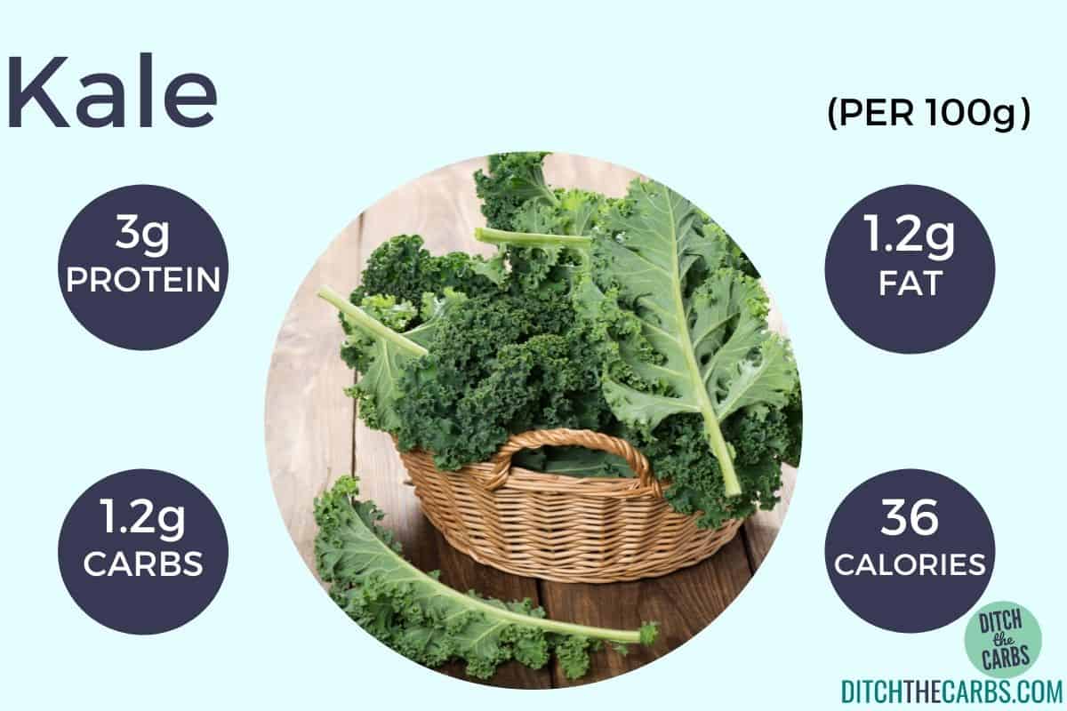carbs and protein in vegetarian food showing kale