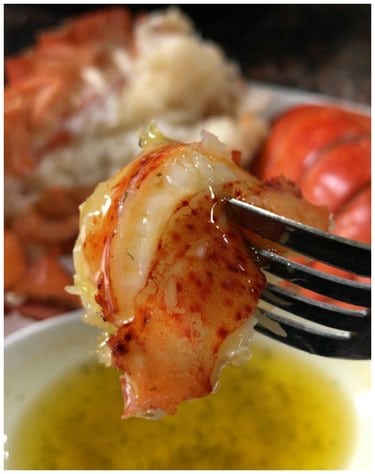 A fork with lobster dripping in butter made in the Instant Pot
