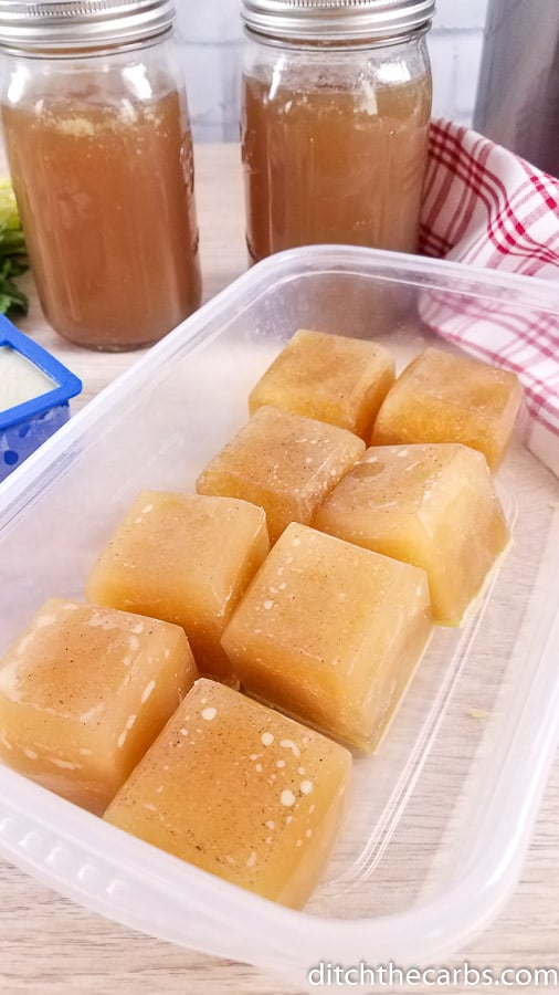 A plastic container filled with frozen beef and bone broth ice cubes