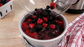 A bowl of berries poured into th Instant Pot 