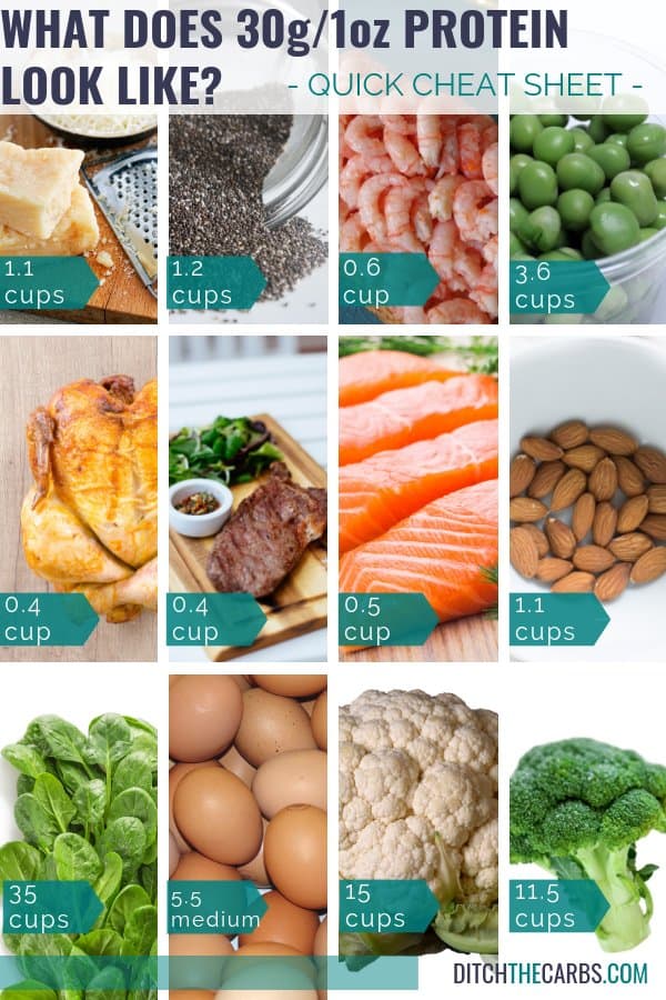 Various images showing what 30 g of protein looks like in different foods to help portion control
