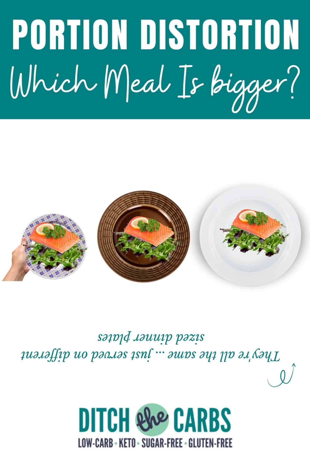3 plates with food to demonstrate portion control