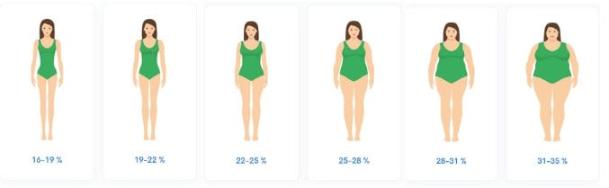 A drawing of various women at different sizes showing their body fat percentage
