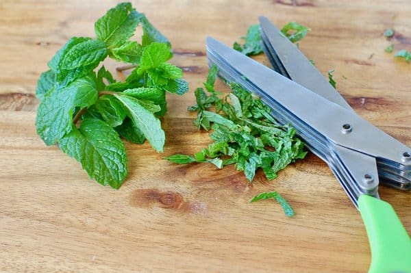 Speciality herbs scissors chopping up the mint
