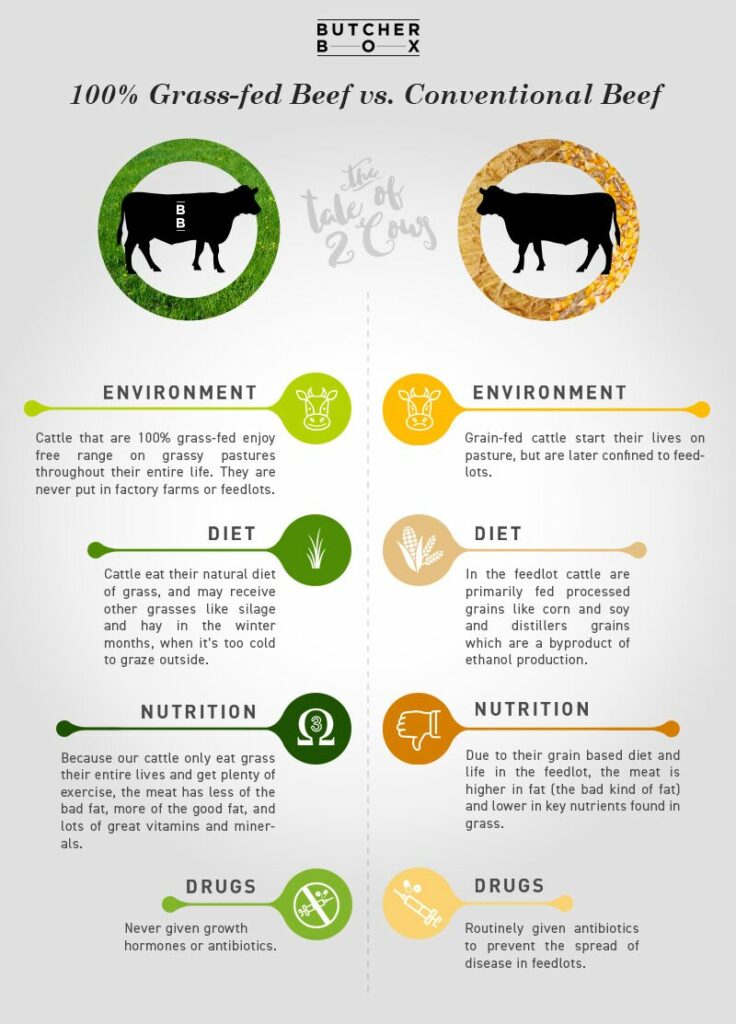 Grass fed meat - is it better?
