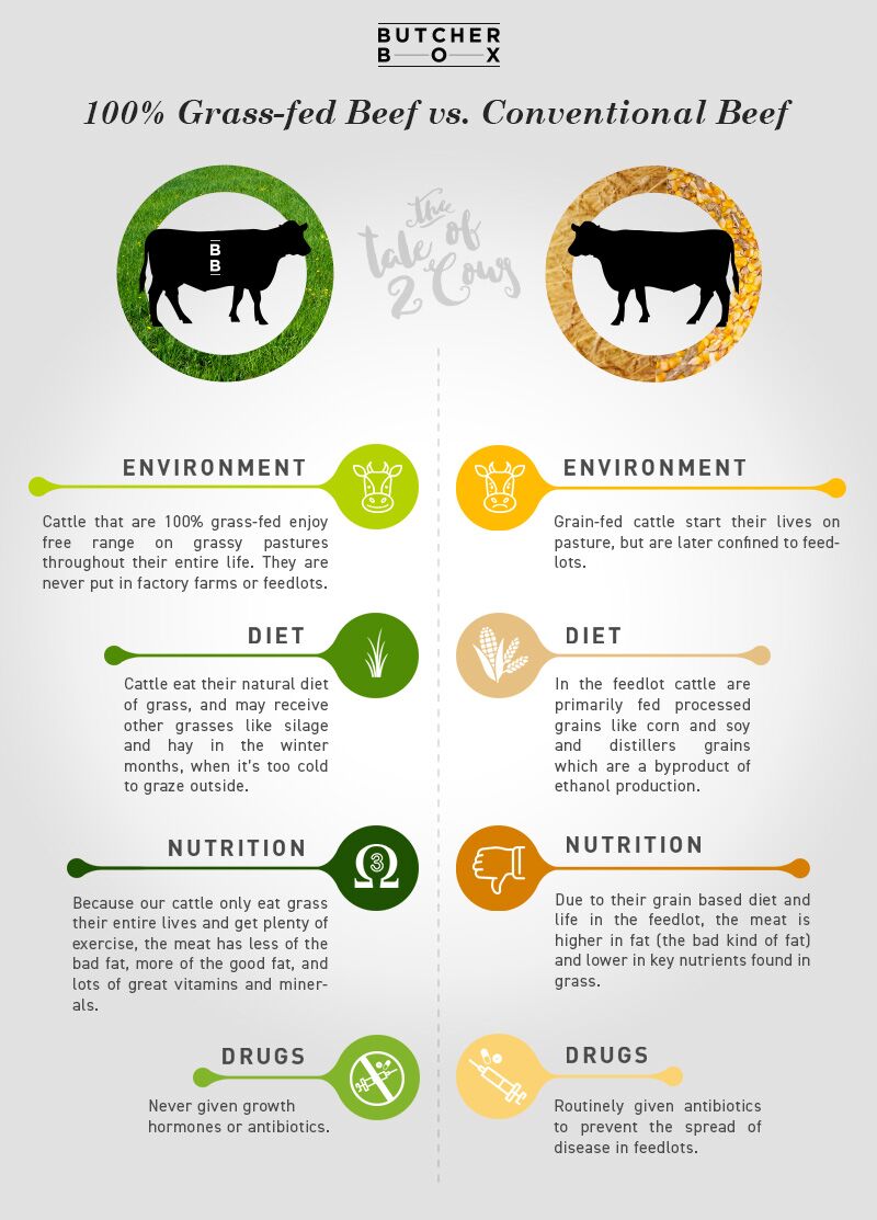 Infographic showing the benefits of grass fed meat over grain-fed meat