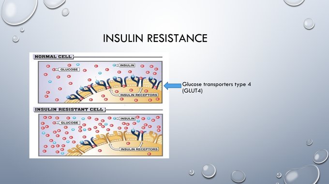 Diagram showing insulin resistant cells