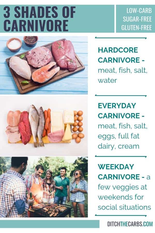 different types of carnivore diets and what to eat