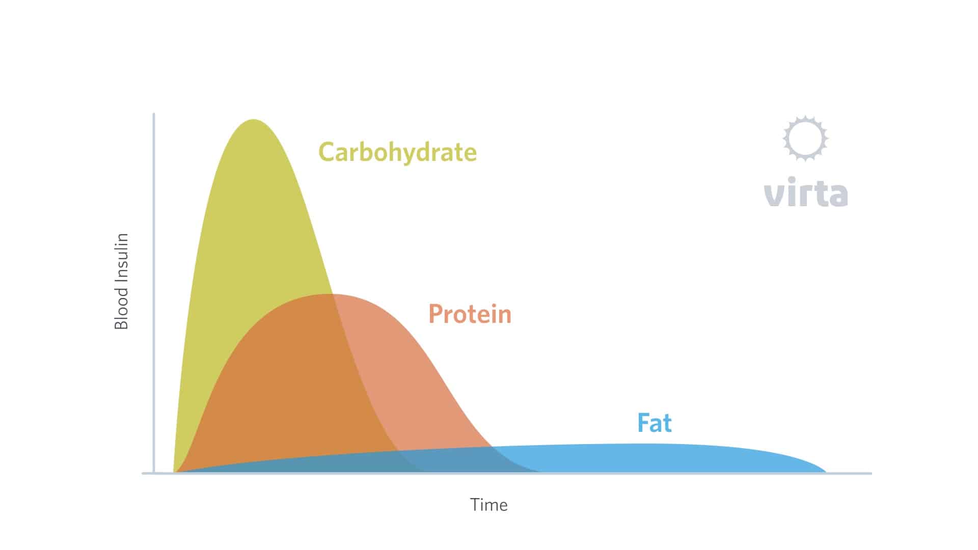 chart showing how your body absorbs fat, protein, and carbs.