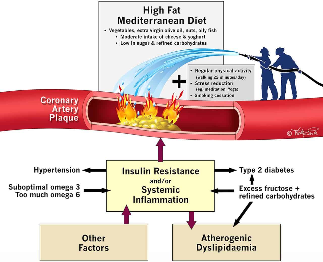 Imágenes que muestran cómo el colesterol ayuda a reducir la inflamación en un vaso sanguíneo.