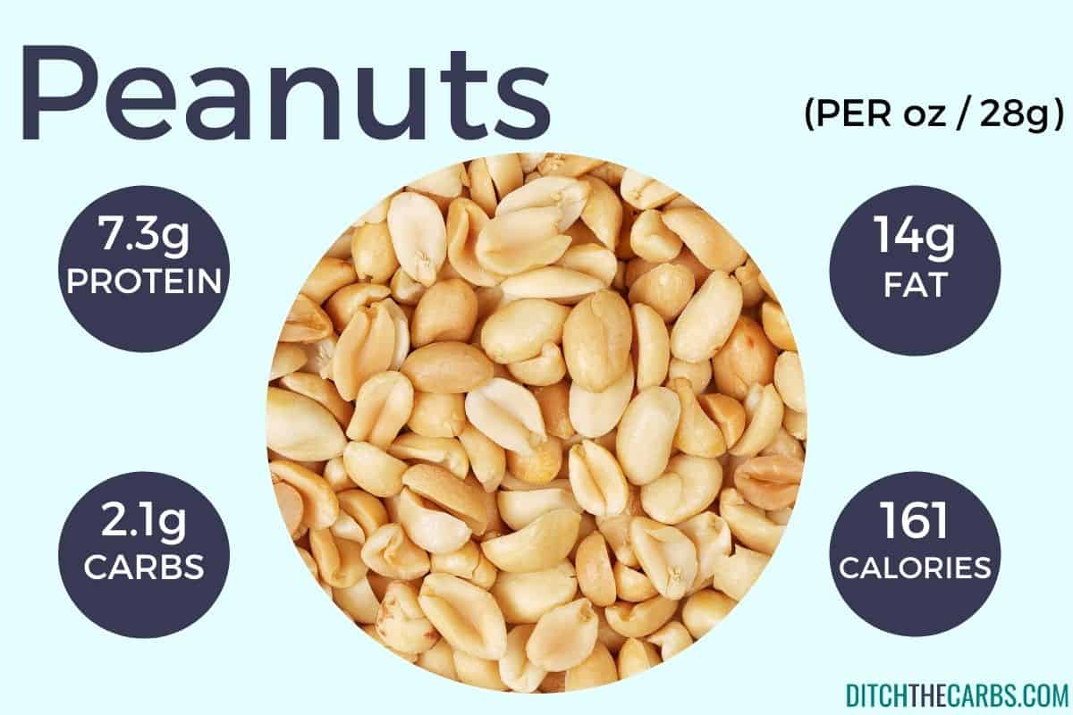 Charts showing how much protein is in nuts