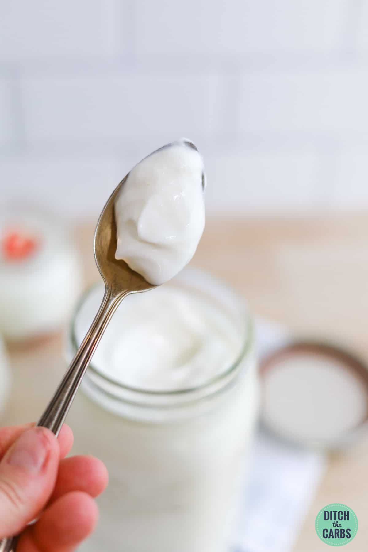 A spoon lifting a spoonful of thick and creamy low-carb Greek yogurt.