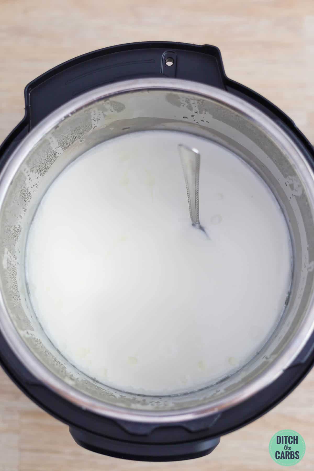 Overhead image of low-carb Greek yogurt right after the incubation period. A spoon is stuck into the yogurt to show that it is set.